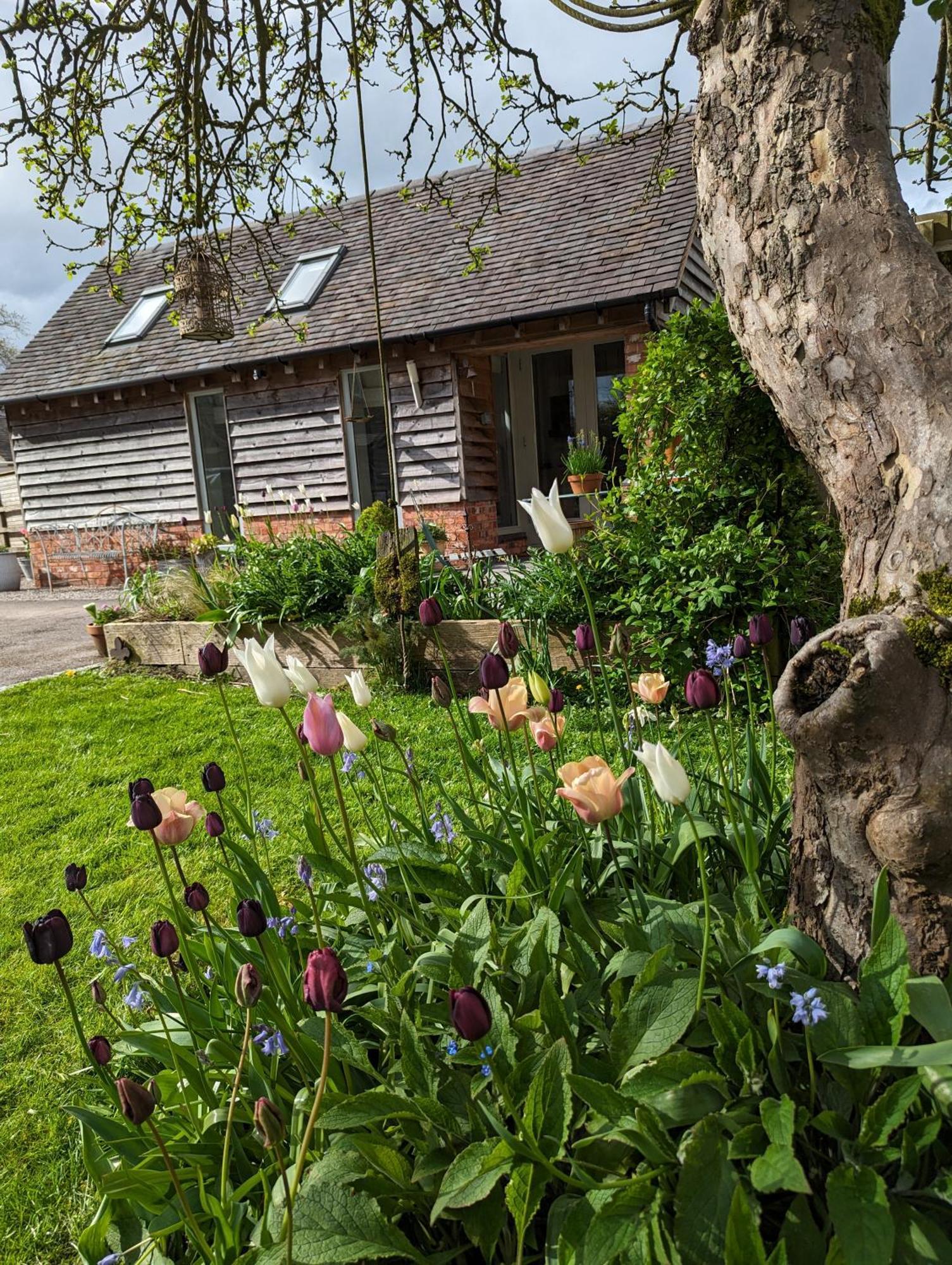 The Dorm Bed And Breakfast Eccleshall Eksteriør billede